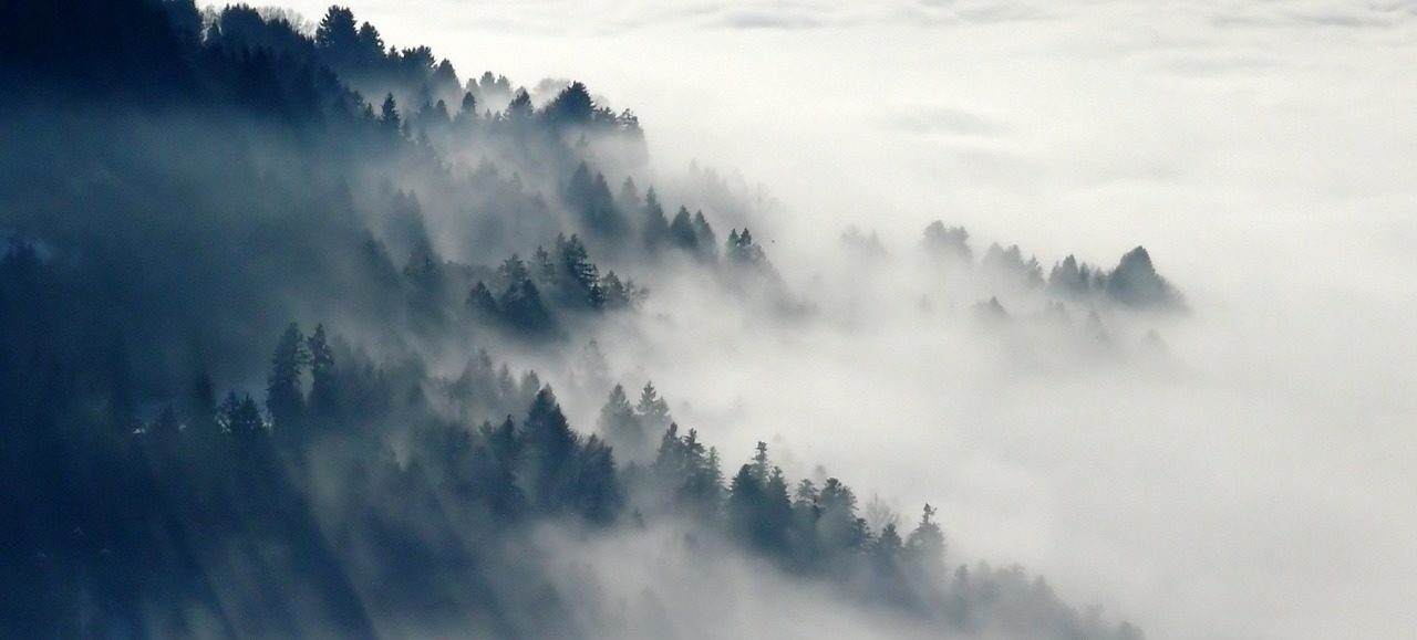 mountain, forest, clouds-547363.jpg